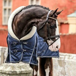 Ervaren eventing paard Nederland