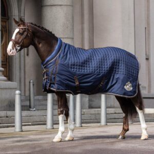 Familie- en beginnersvriendelijk springpaard