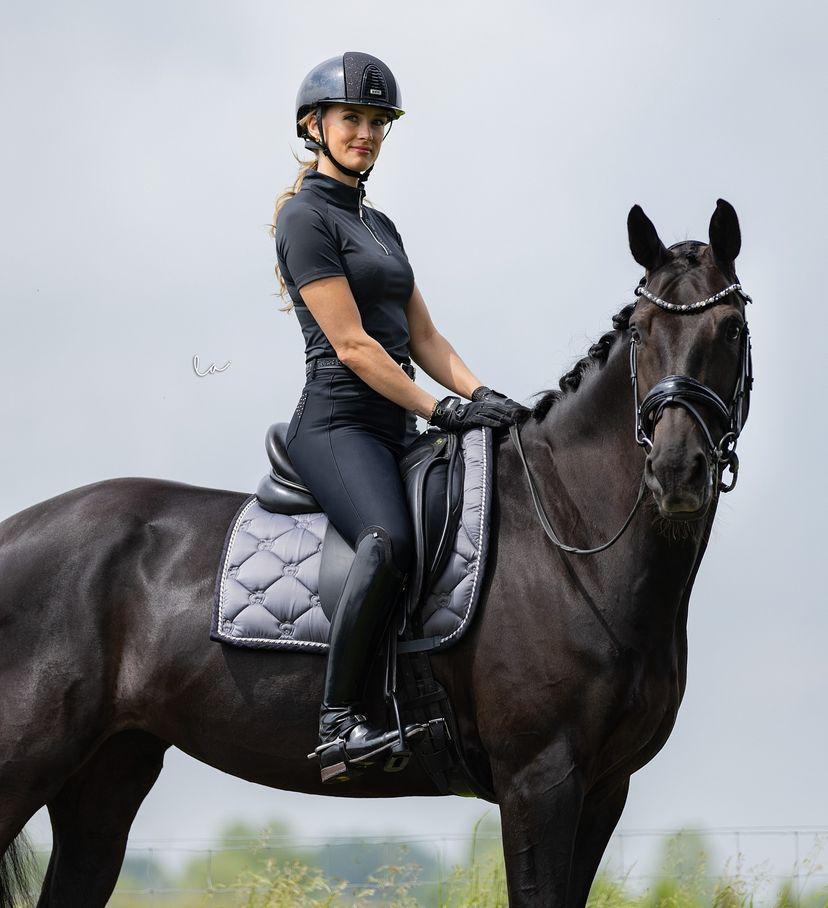 Hunter Jumper and dressage horse