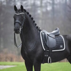 Paard met spring- en dressuurervaring