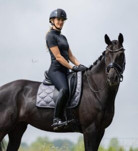 Dressurpferd und Springpferd für ambitionierte Reiter